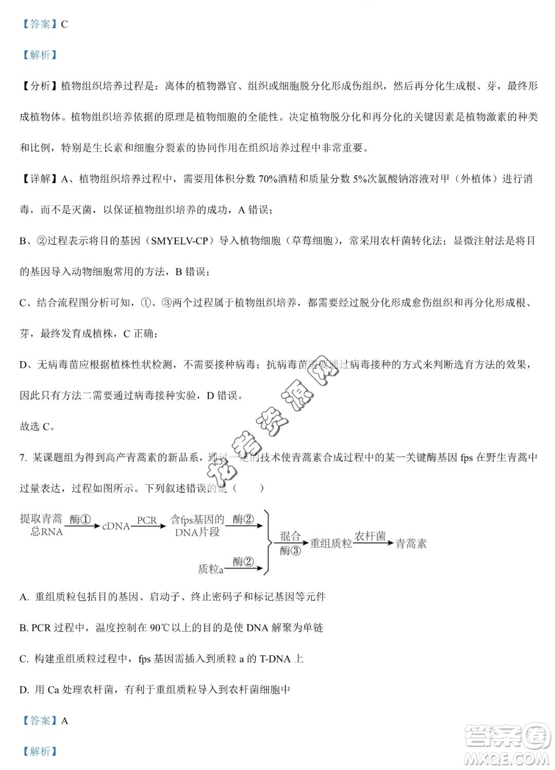 大慶實驗中學2022-2023學年高二下學期期末考試生物試題答案