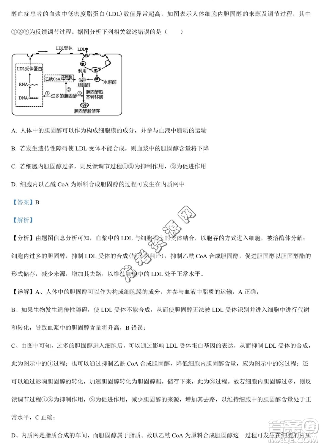 大慶實驗中學2022-2023學年高二下學期期末考試生物試題答案