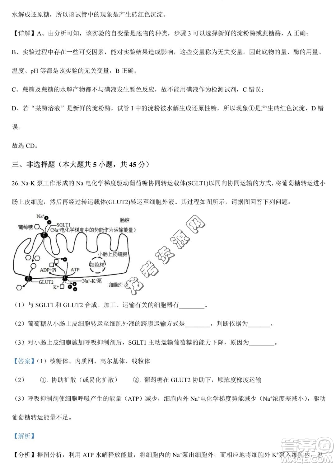 大慶實驗中學2022-2023學年高二下學期期末考試生物試題答案