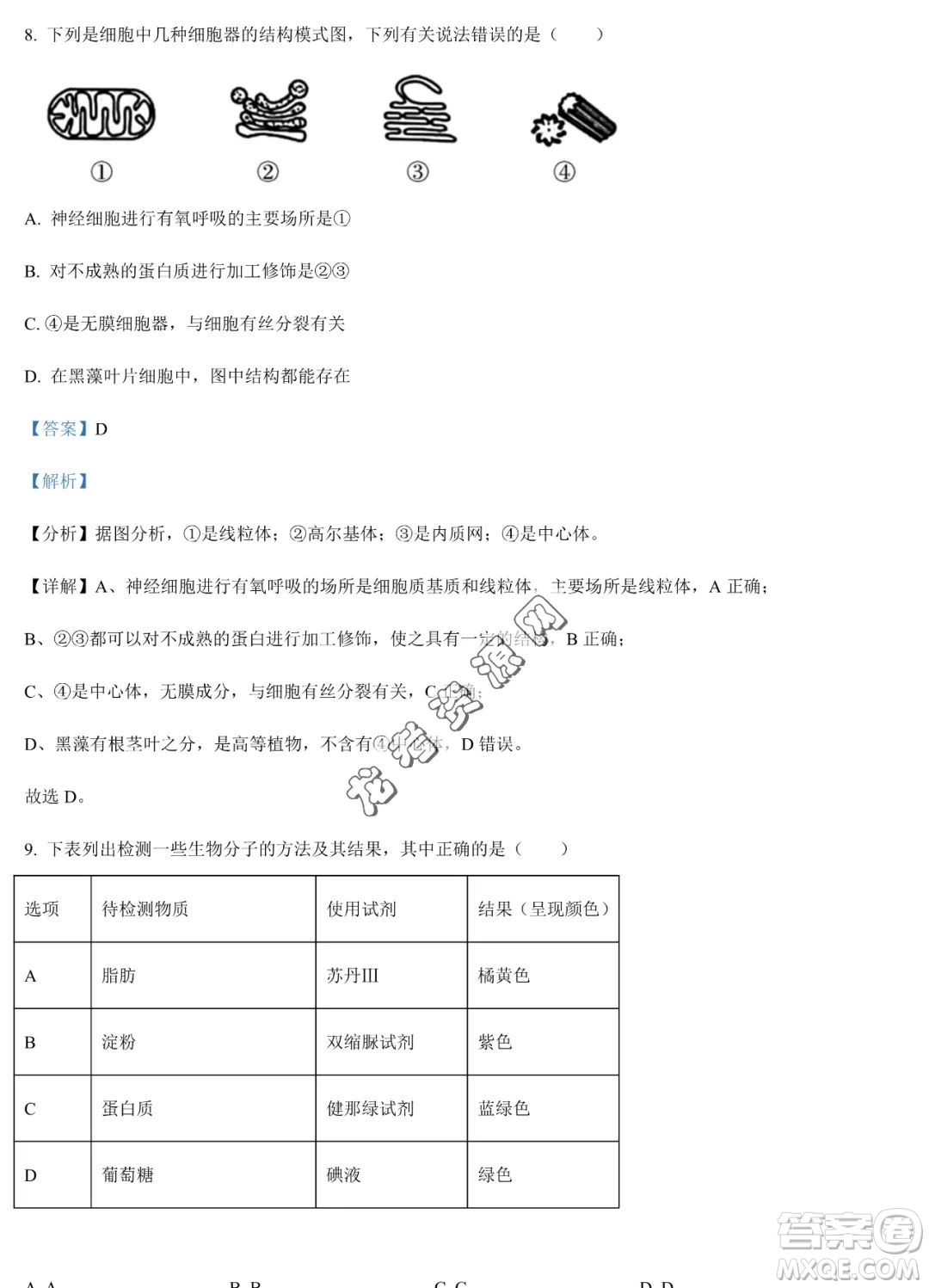 雙鴨山市第一中學(xué)2022-2023學(xué)年高二下學(xué)期期末考試生物試卷答案