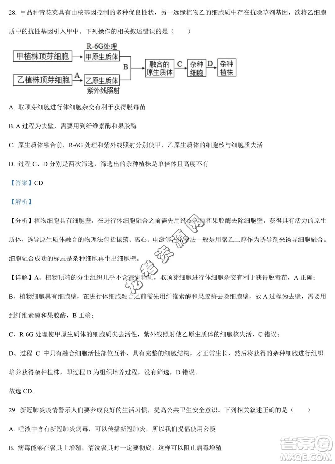 雙鴨山市第一中學(xué)2022-2023學(xué)年高二下學(xué)期期末考試生物試卷答案