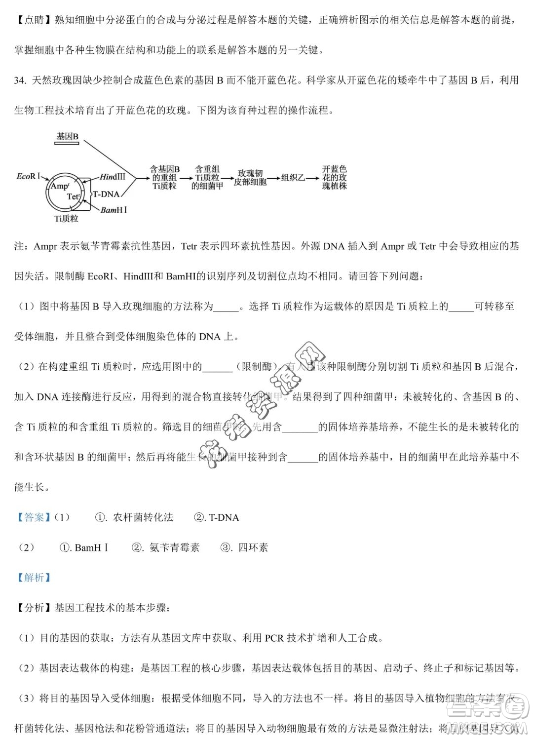 雙鴨山市第一中學(xué)2022-2023學(xué)年高二下學(xué)期期末考試生物試卷答案