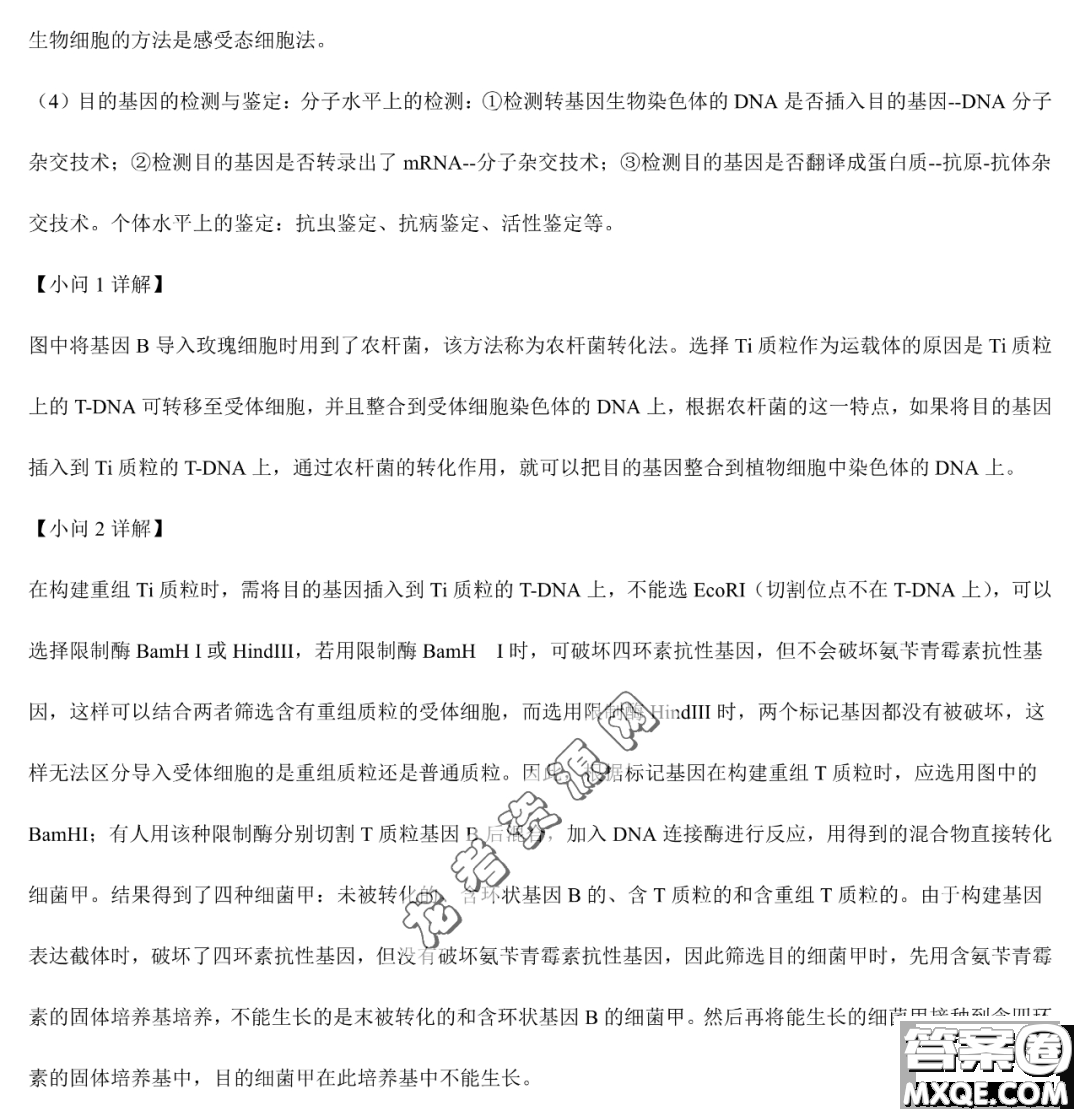 雙鴨山市第一中學(xué)2022-2023學(xué)年高二下學(xué)期期末考試生物試卷答案