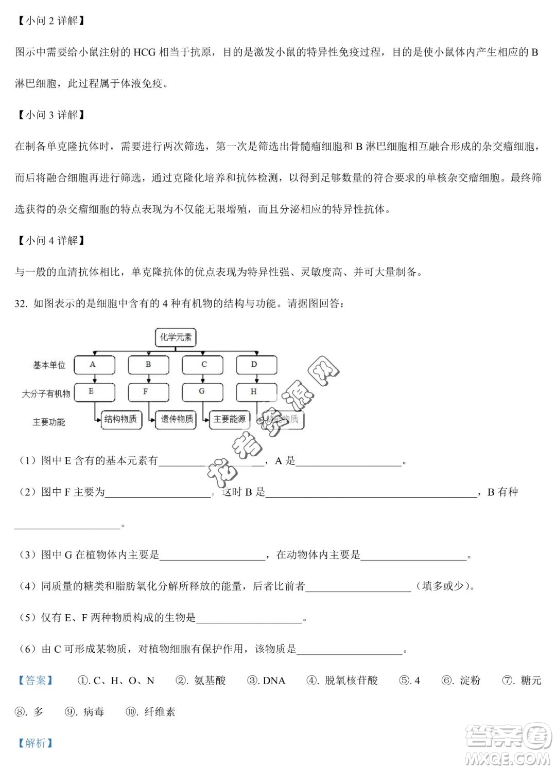 雙鴨山市第一中學(xué)2022-2023學(xué)年高二下學(xué)期期末考試生物試卷答案