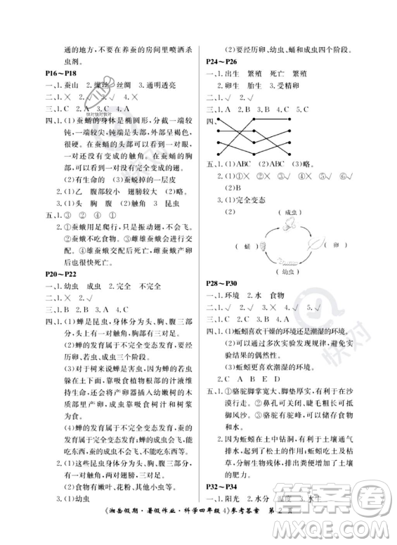 湖南大學(xué)出版社2023湘岳假期暑假作業(yè)四年級科學(xué)通用版答案