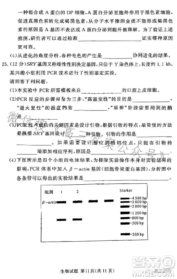 湘豫名校聯(lián)考2023年8月高三秋季入學(xué)摸底考試化學(xué)試卷答案