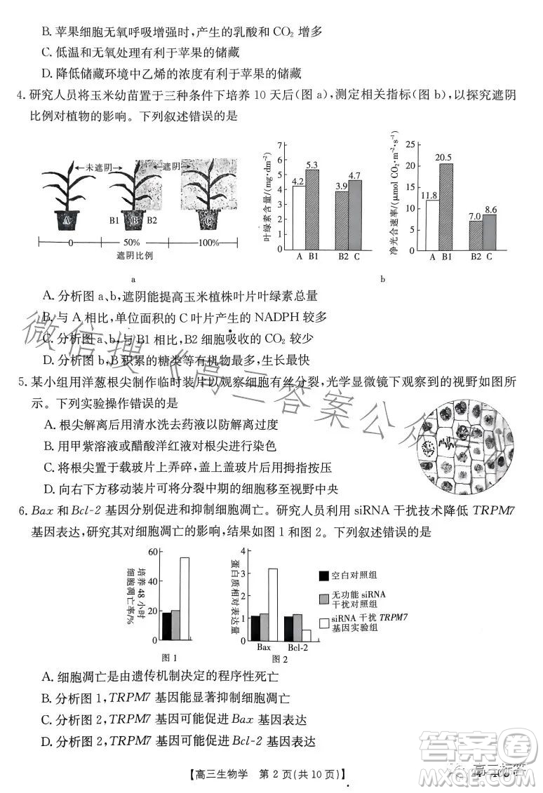 2024屆河南省金太陽(yáng)高三名校聯(lián)考入學(xué)摸底考試生物試卷答案