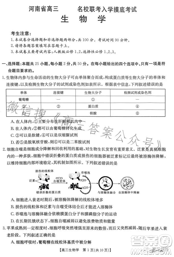 2024屆河南省金太陽(yáng)高三名校聯(lián)考入學(xué)摸底考試生物試卷答案