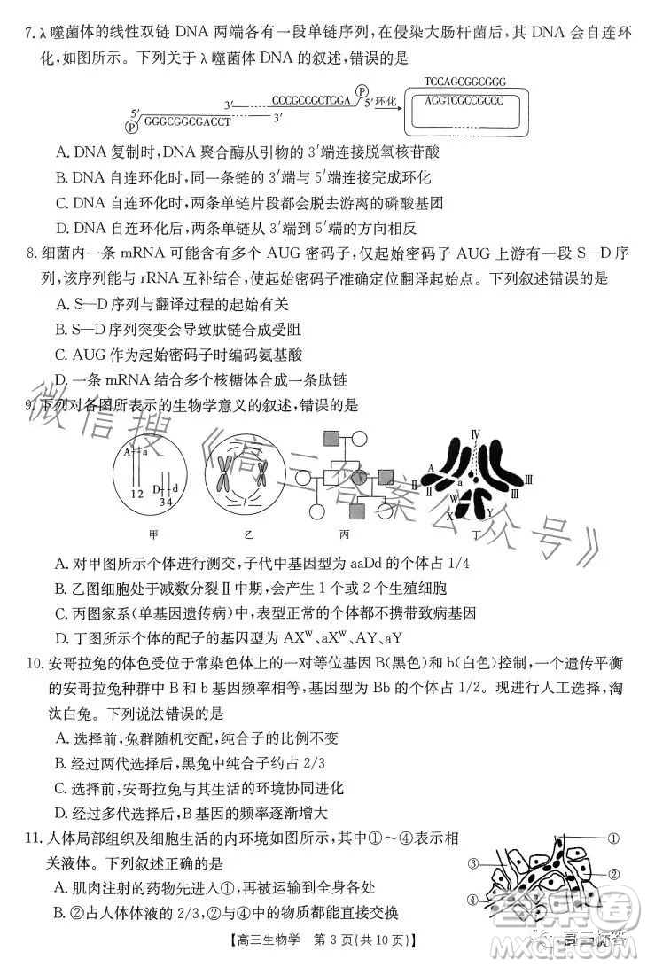 2024屆河南省金太陽(yáng)高三名校聯(lián)考入學(xué)摸底考試生物試卷答案