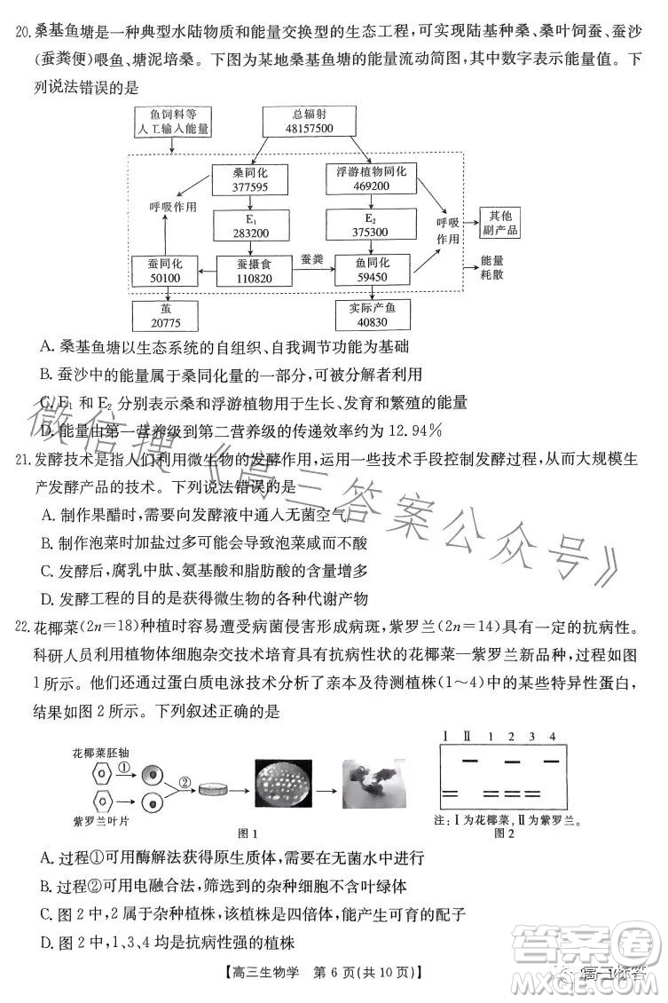 2024屆河南省金太陽(yáng)高三名校聯(lián)考入學(xué)摸底考試生物試卷答案