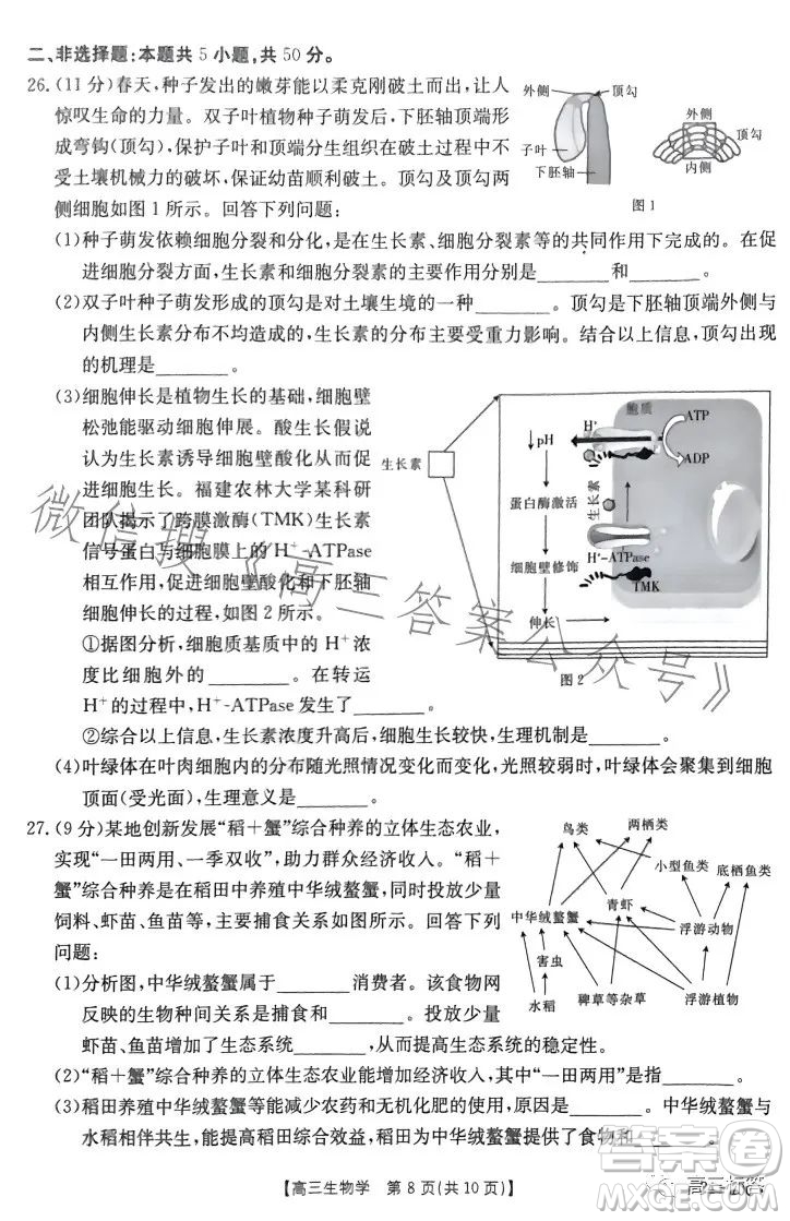 2024屆河南省金太陽(yáng)高三名校聯(lián)考入學(xué)摸底考試生物試卷答案