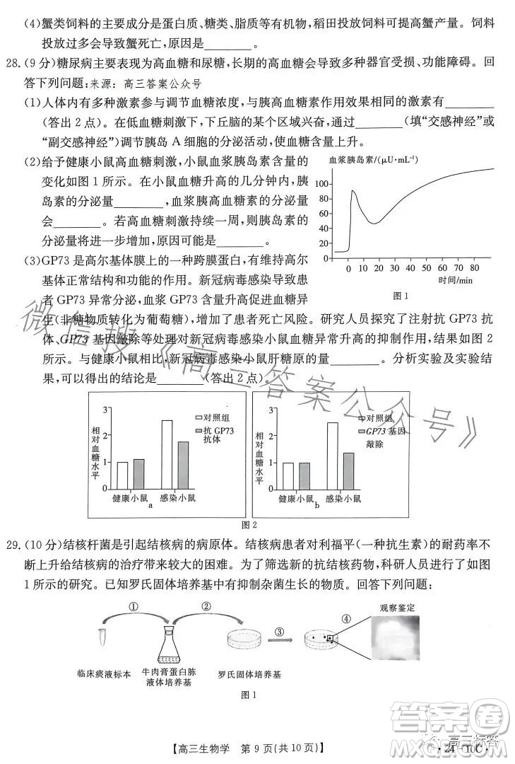 2024屆河南省金太陽(yáng)高三名校聯(lián)考入學(xué)摸底考試生物試卷答案