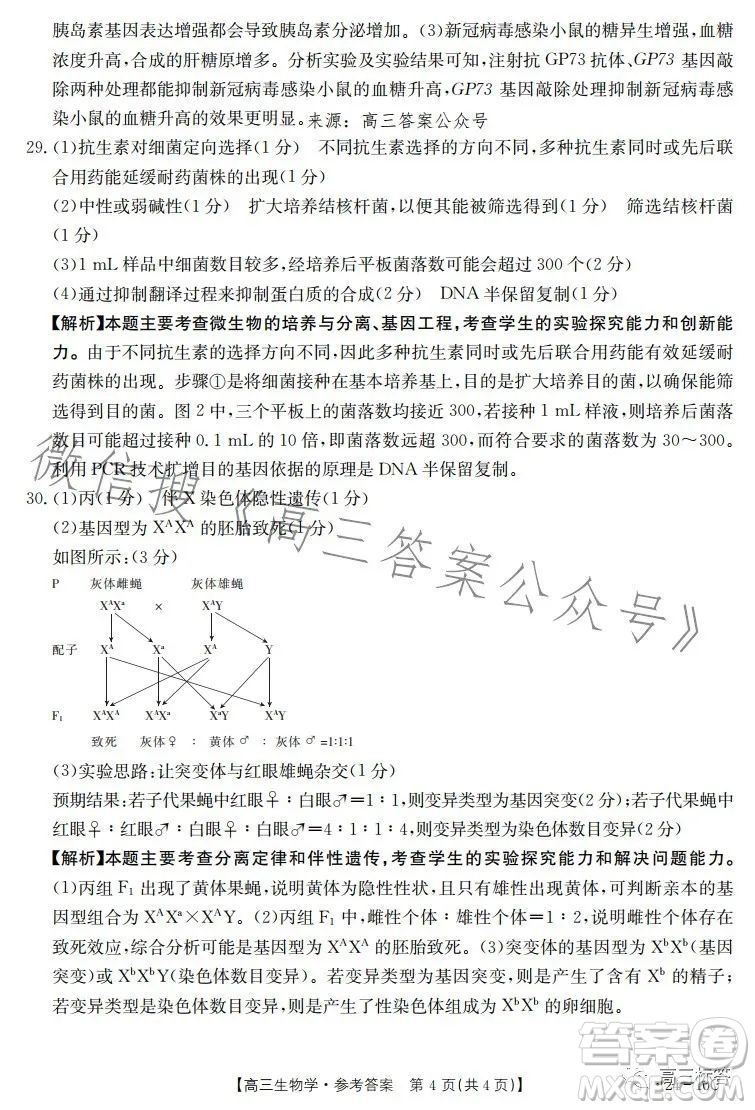 2024屆河南省金太陽(yáng)高三名校聯(lián)考入學(xué)摸底考試生物試卷答案