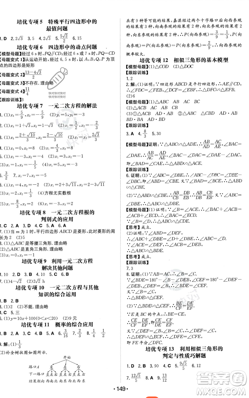 湖南教育出版社2023年一本同步訓(xùn)練九年級上冊數(shù)學(xué)北師大版答案