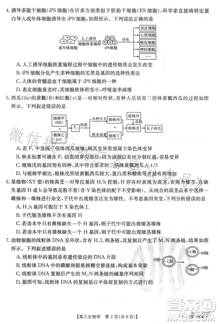 2024屆高三金太陽8月聯(lián)考24-03C生物試卷答案