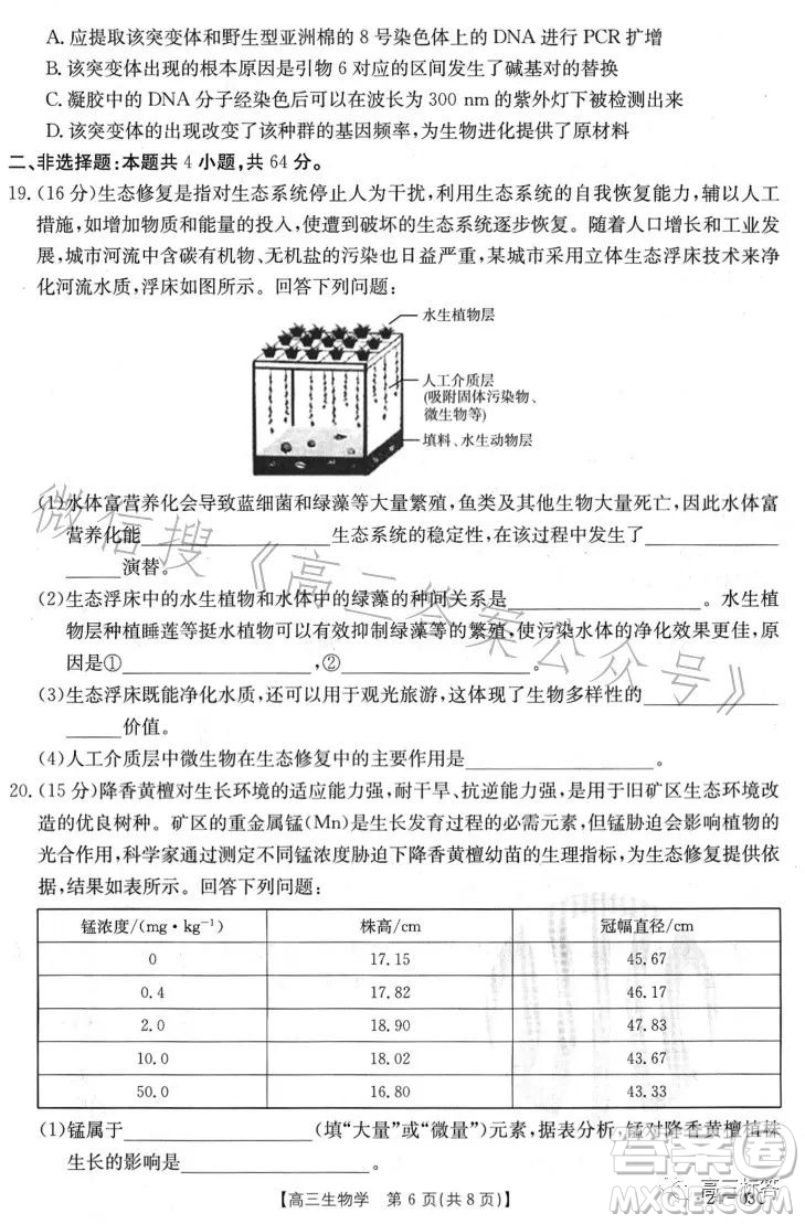 2024屆高三金太陽8月聯(lián)考24-03C生物試卷答案