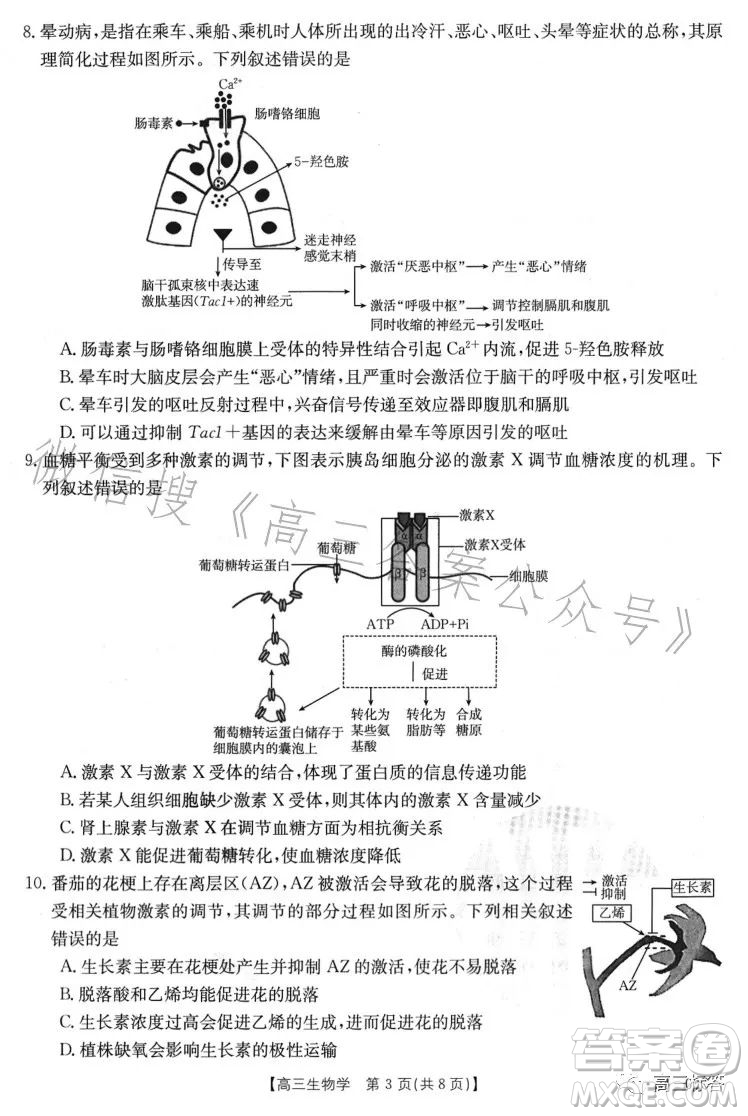 2024屆高三金太陽8月聯(lián)考24-03C生物試卷答案