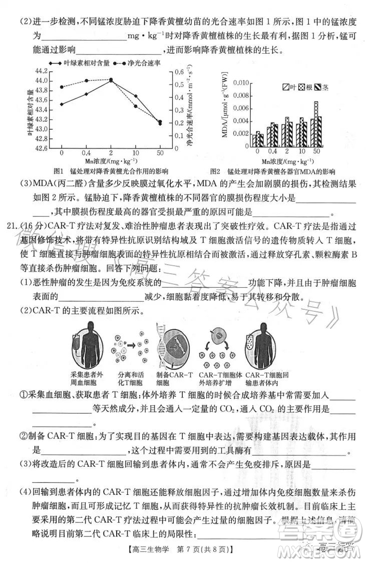 2024屆高三金太陽8月聯(lián)考24-03C生物試卷答案