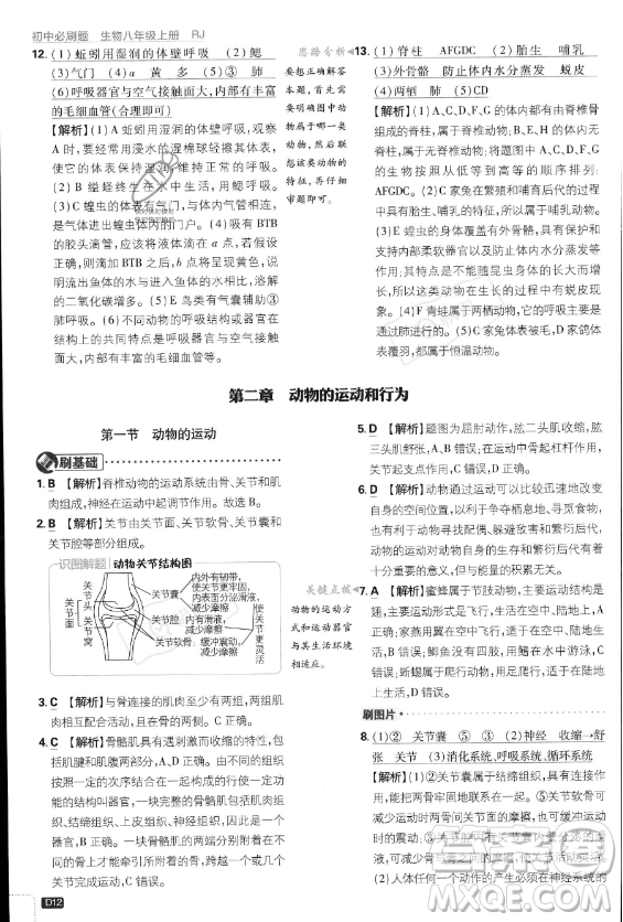 開明出版社2024屆初中必刷題八年級上冊生物人教版答案