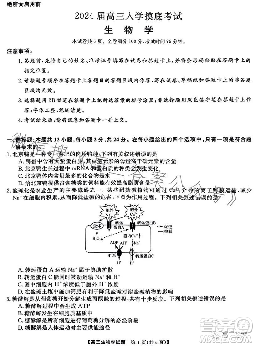 天壹名校聯(lián)盟2024屆高三入學(xué)摸底考試生物試卷答案