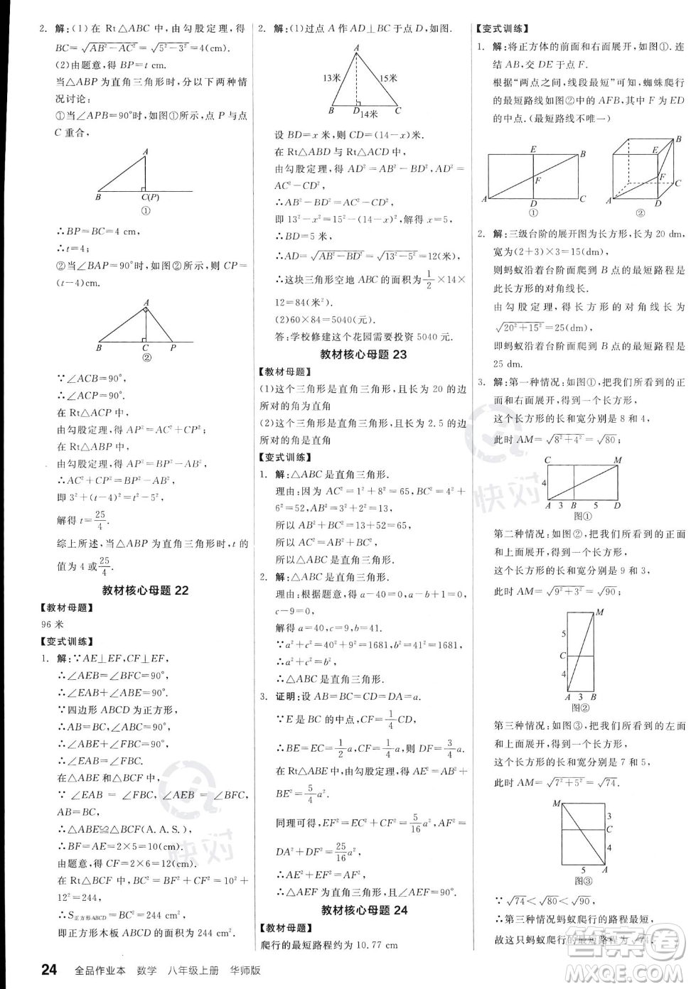 陽光出版社2023年秋季全品作業(yè)本八年級上冊數(shù)學華師版答案