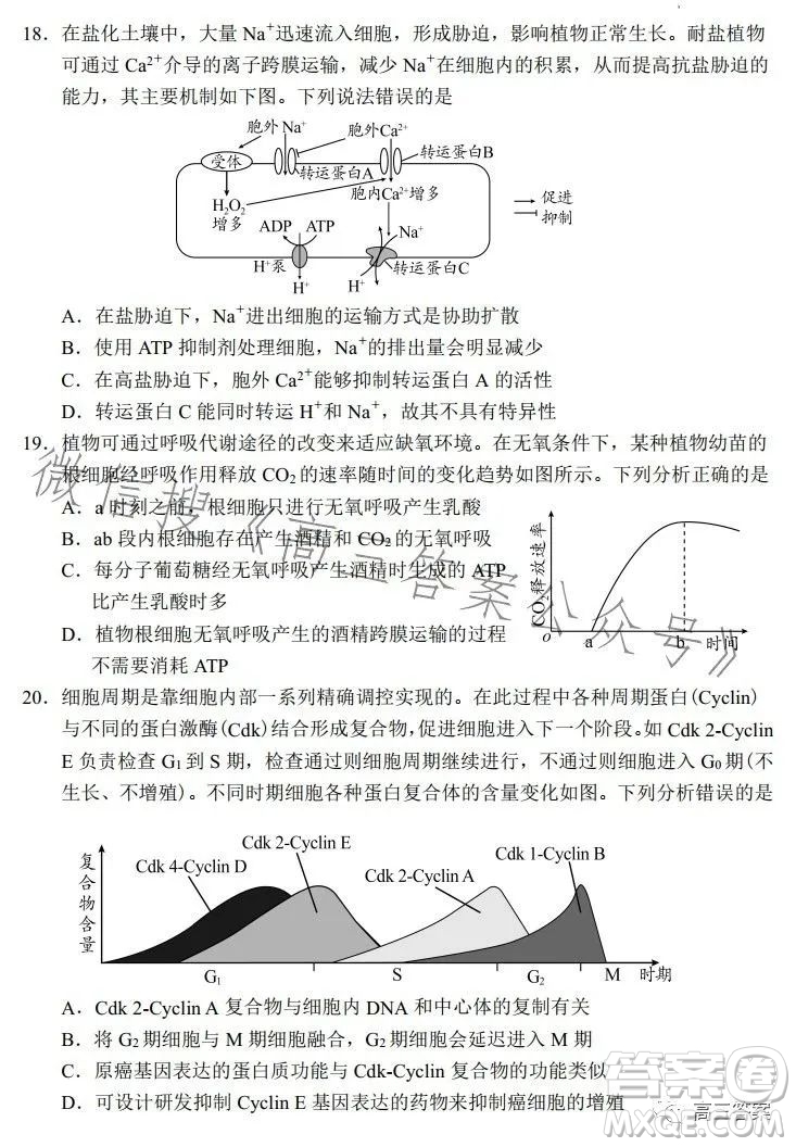 日照2021級高三上學(xué)期校際聯(lián)合考試生物試卷答案