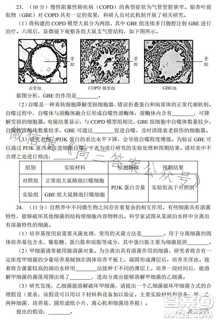 日照2021級高三上學(xué)期校際聯(lián)合考試生物試卷答案