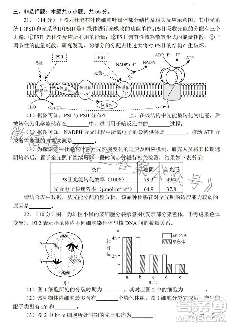 日照2021級高三上學(xué)期校際聯(lián)合考試生物試卷答案