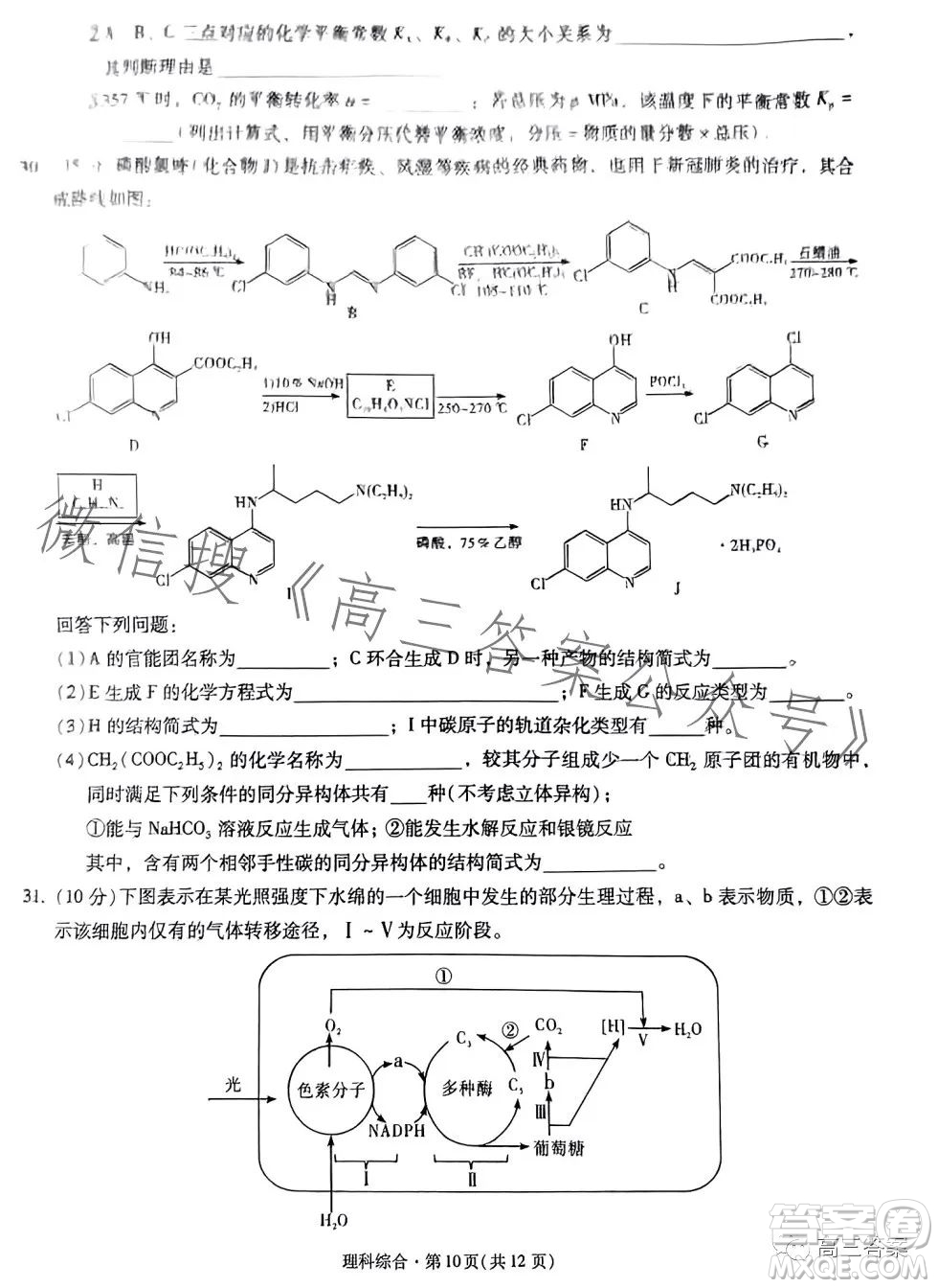 昆明市第一中學(xué)2024屆高中新課標(biāo)高三第一次摸底測試?yán)砜凭C合答案