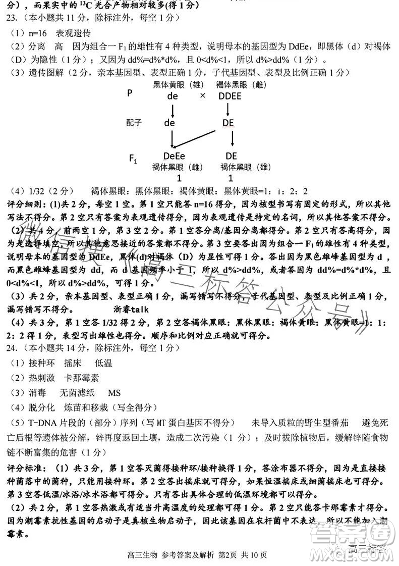 2023學(xué)年第一學(xué)期浙江省七彩陽光新高考研究聯(lián)盟返校聯(lián)考高三生物試題答案