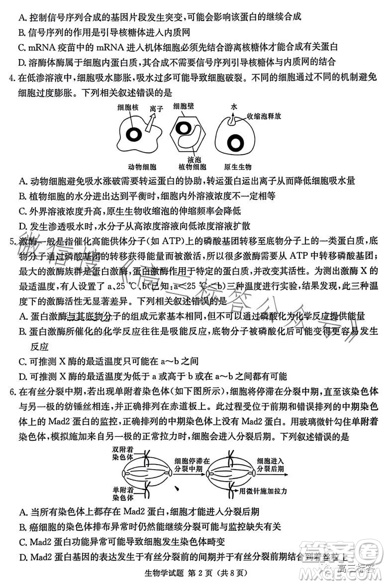 炎德英才大聯(lián)考2024屆高三第一次質(zhì)量檢測生物學(xué)試卷答案