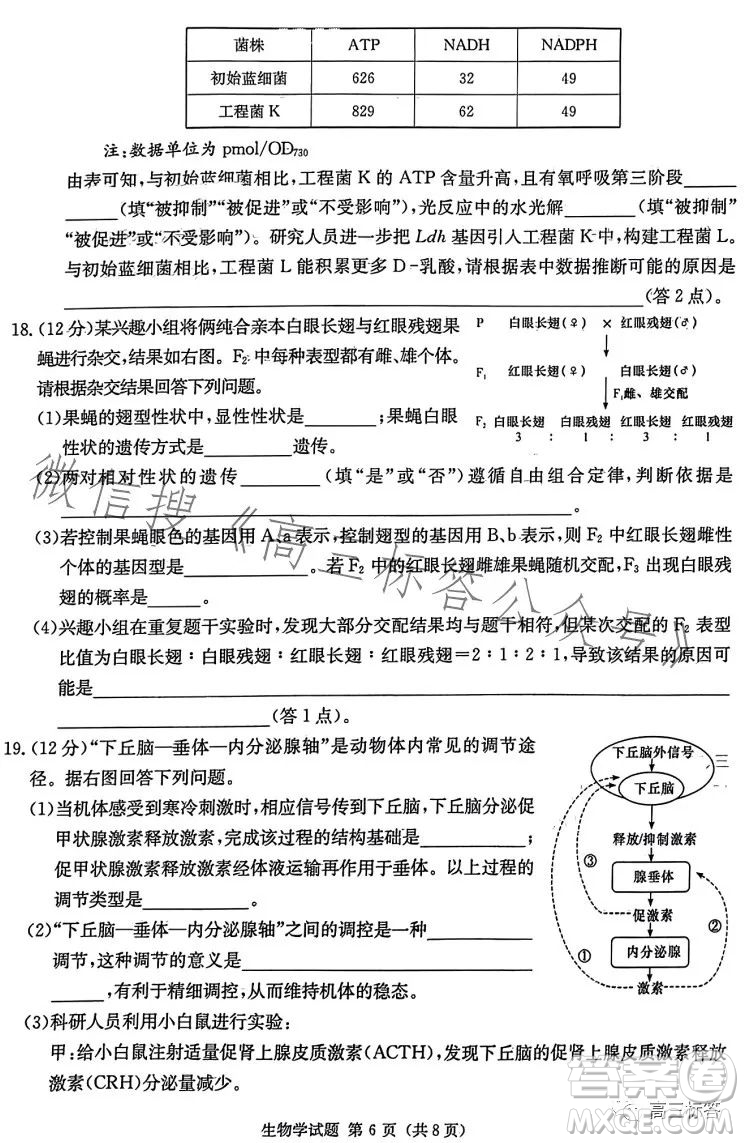 炎德英才大聯(lián)考2024屆高三第一次質(zhì)量檢測生物學(xué)試卷答案