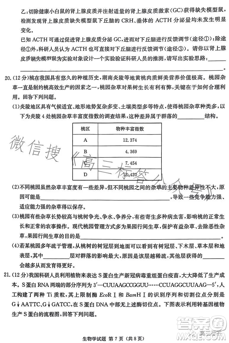 炎德英才大聯(lián)考2024屆高三第一次質(zhì)量檢測生物學(xué)試卷答案