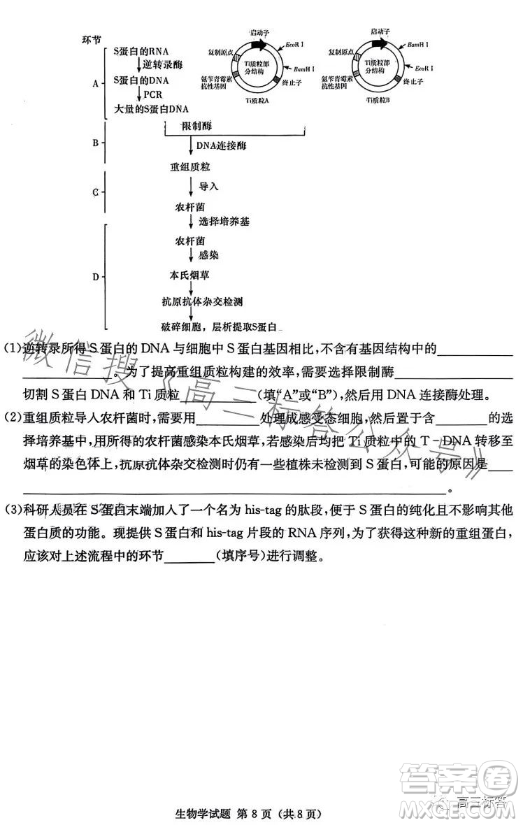 炎德英才大聯(lián)考2024屆高三第一次質(zhì)量檢測生物學(xué)試卷答案