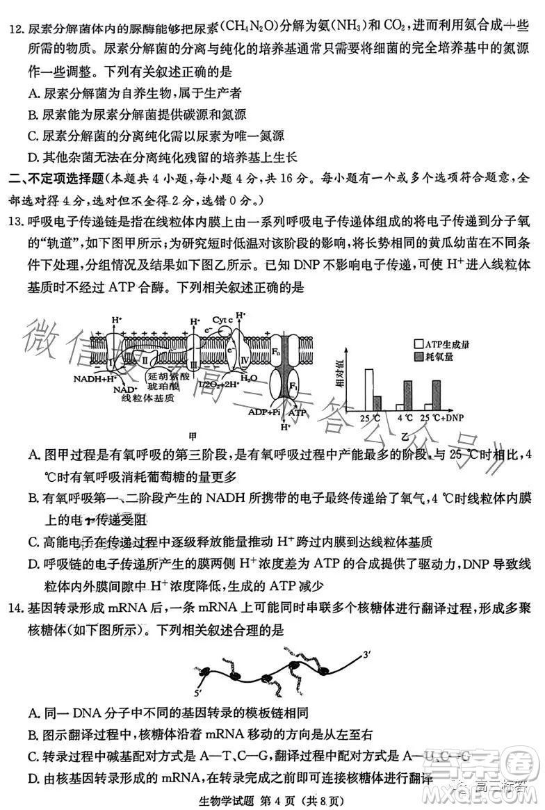 炎德英才大聯(lián)考2024屆高三第一次質(zhì)量檢測生物學(xué)試卷答案