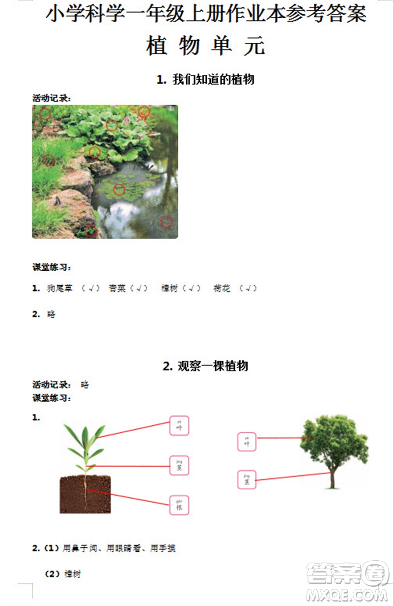 浙江教育出版社2023年秋科學(xué)課堂作業(yè)本一年級上冊教科版參考答案