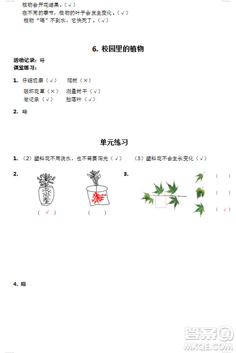 浙江教育出版社2023年秋科學(xué)課堂作業(yè)本一年級上冊教科版參考答案