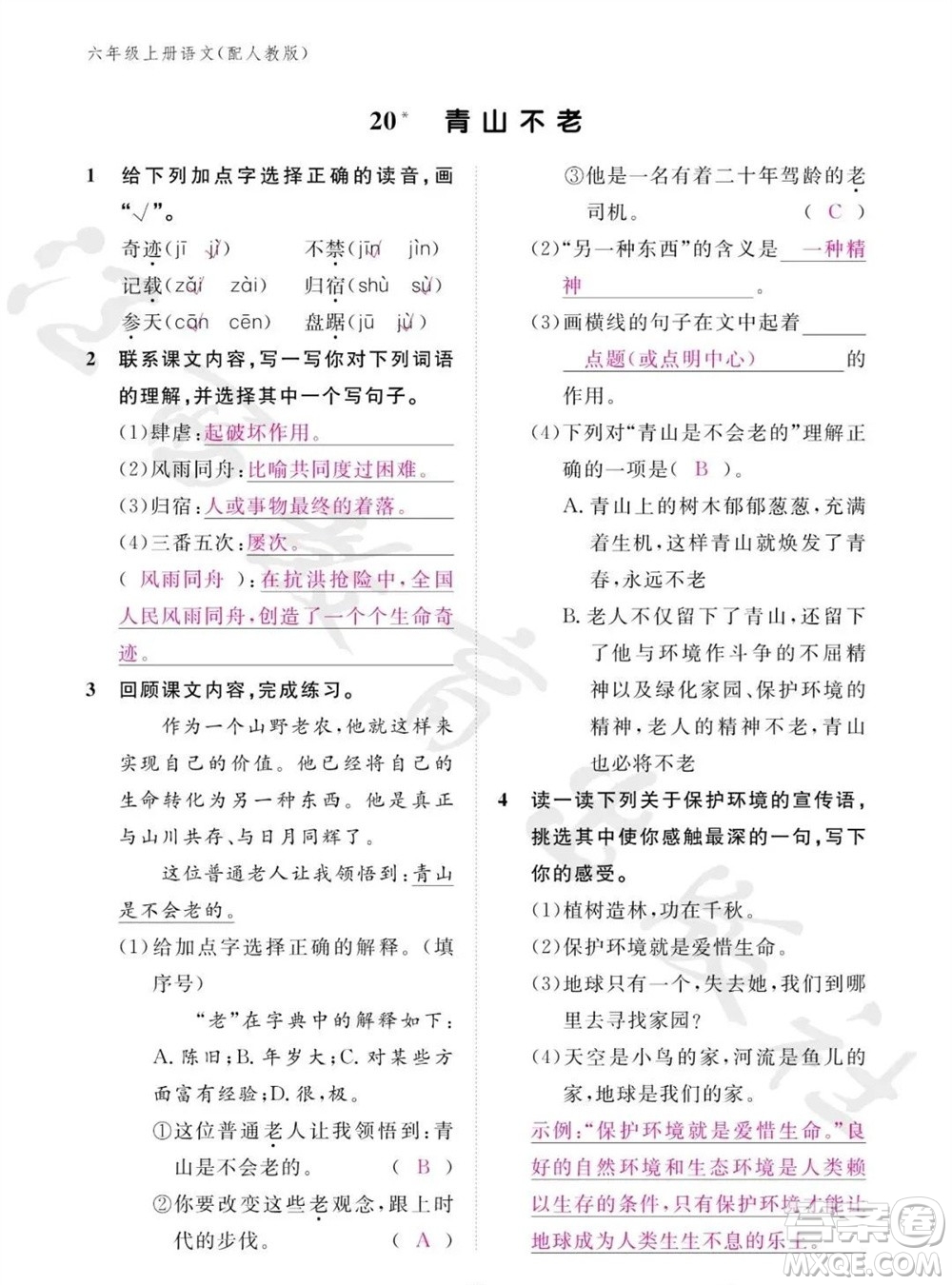 江西教育出版社2023年秋語(yǔ)文作業(yè)本六年級(jí)上冊(cè)人教版參考答案