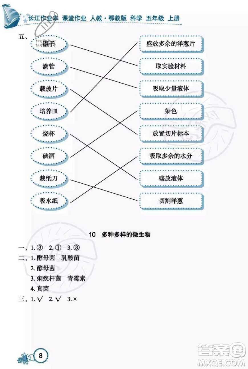 湖北教育出版社2023年秋長江作業(yè)本課堂作業(yè)五年級科學(xué)上冊人教鄂教版答案