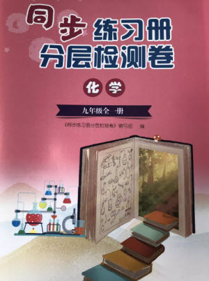 山東人民出版社2023年秋同步練習(xí)冊分層檢測卷九年級化學(xué)全冊人教版參考答案