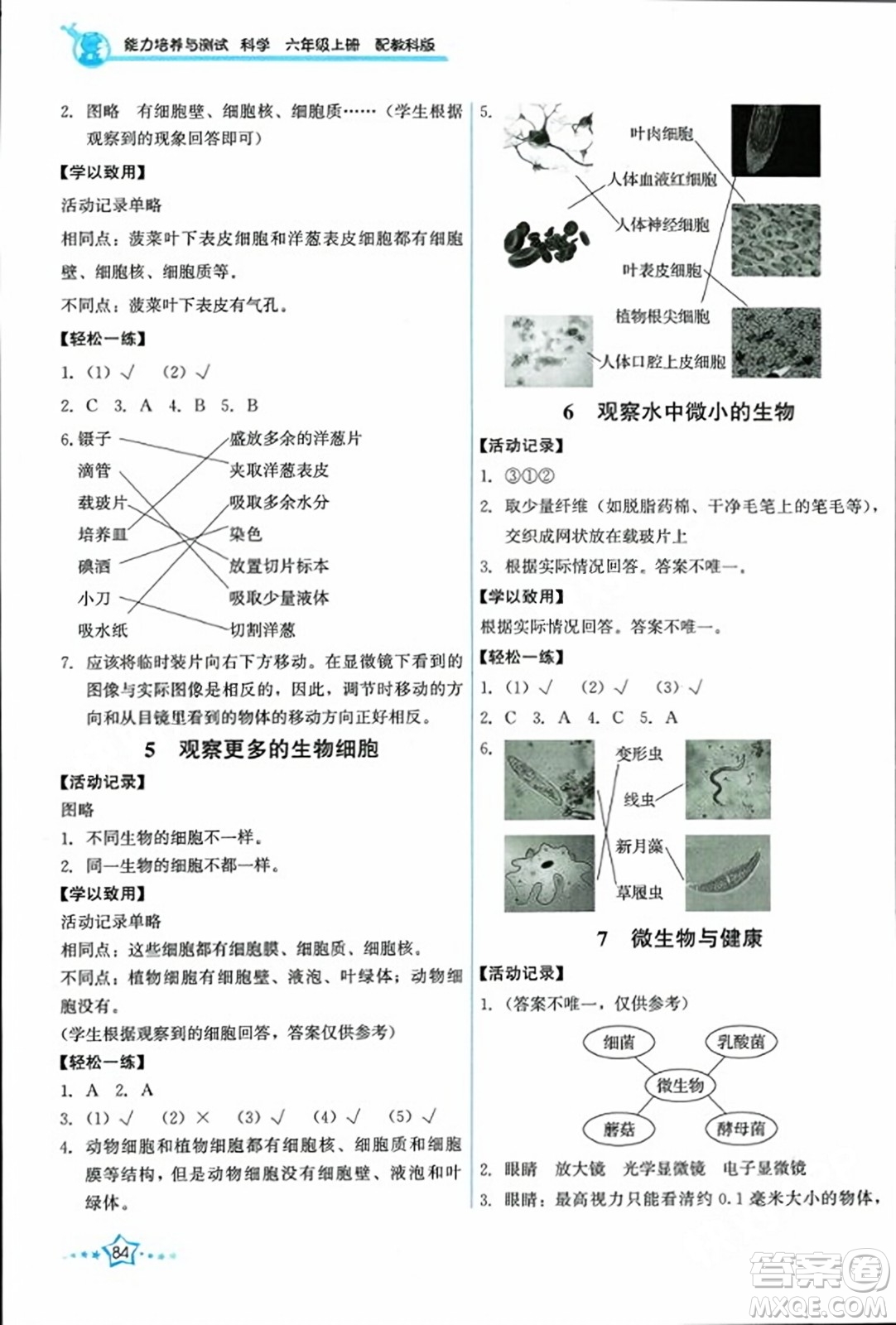 教育科學(xué)出版社2023年秋能力培養(yǎng)與測(cè)試六年級(jí)科學(xué)上冊(cè)教科版答案