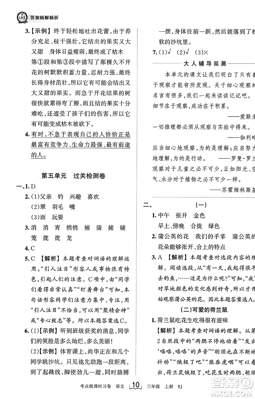 江西人民出版社2023年秋王朝霞考點梳理時習(xí)卷三年級語文上冊人教版答案