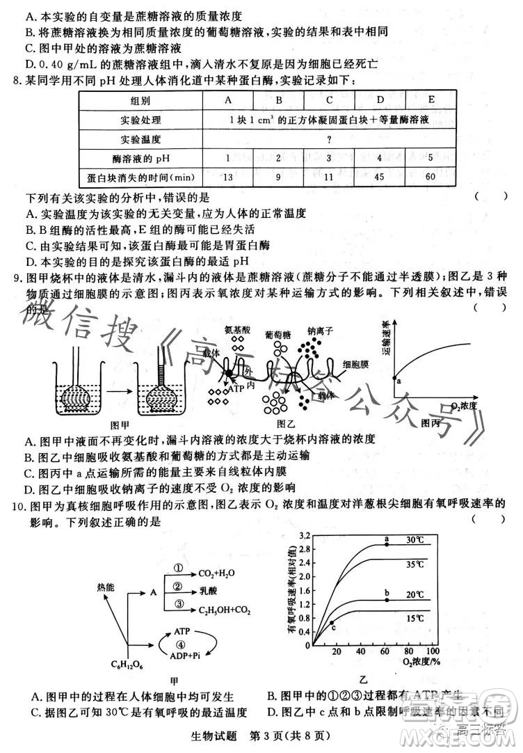 2024屆普通高等學(xué)校招生全國(guó)統(tǒng)一考試青桐鳴高三10月大聯(lián)考生物試卷答案