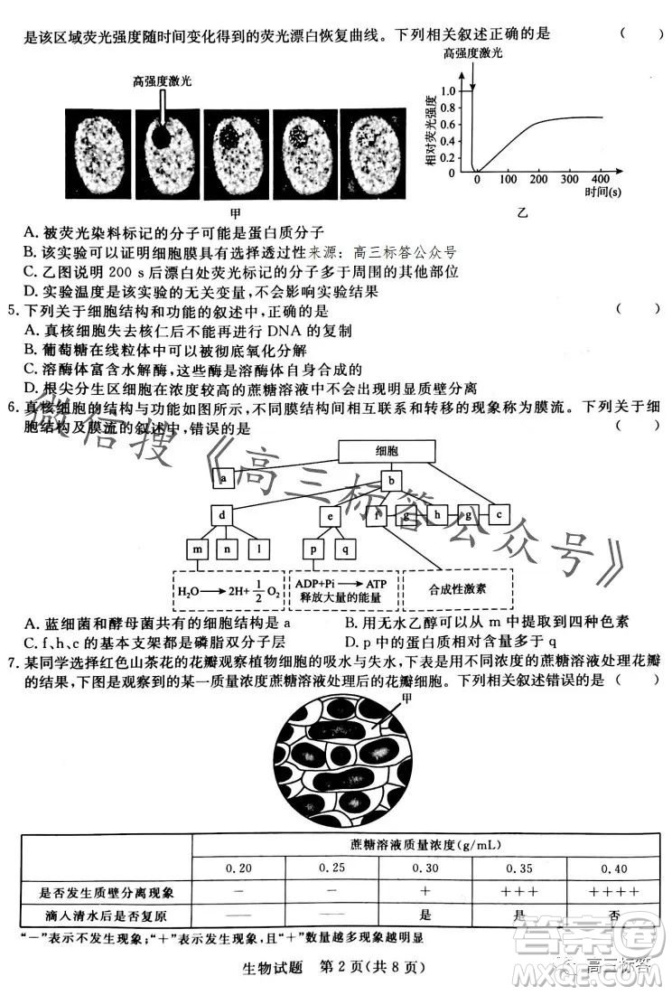 2024屆普通高等學(xué)校招生全國(guó)統(tǒng)一考試青桐鳴高三10月大聯(lián)考生物試卷答案