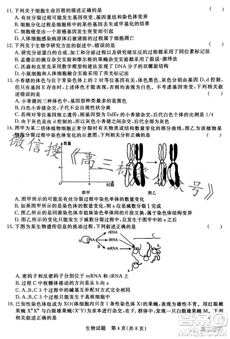 2024屆普通高等學(xué)校招生全國(guó)統(tǒng)一考試青桐鳴高三10月大聯(lián)考生物試卷答案