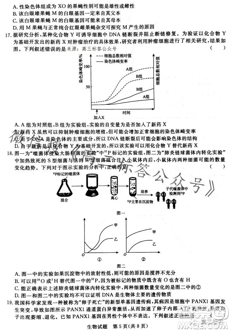 2024屆普通高等學(xué)校招生全國(guó)統(tǒng)一考試青桐鳴高三10月大聯(lián)考生物試卷答案