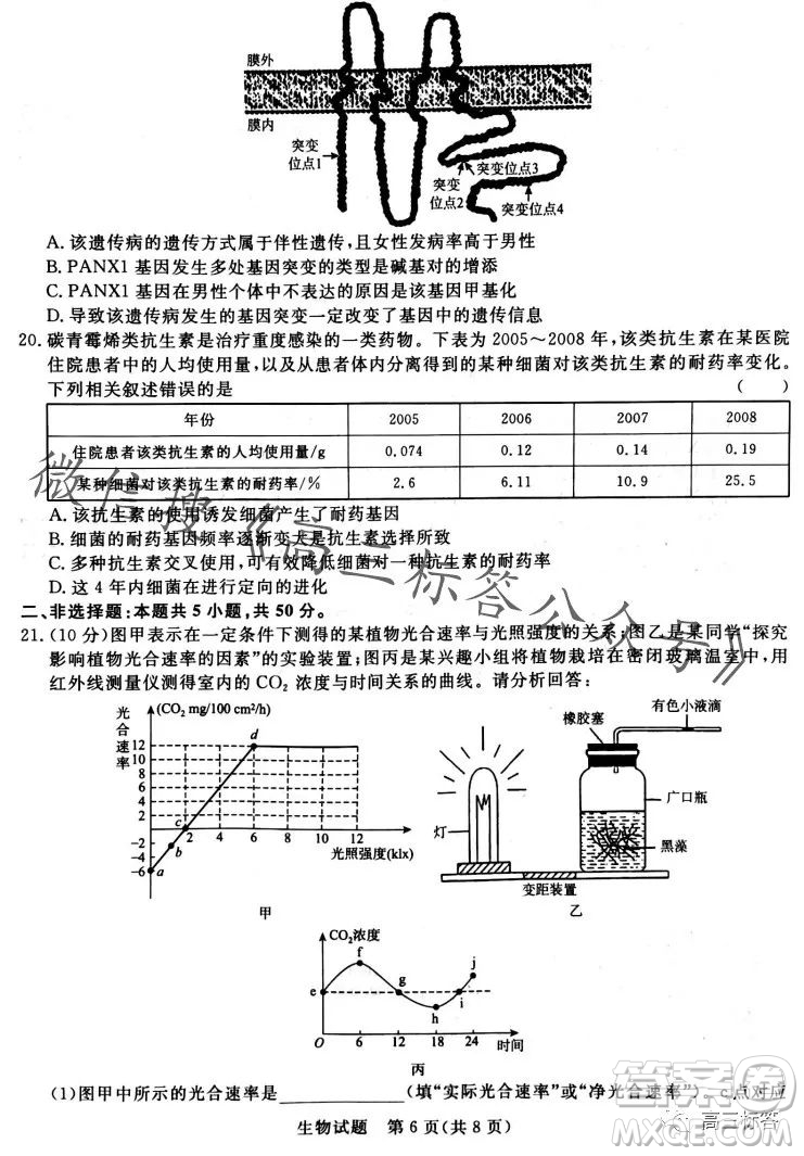 2024屆普通高等學(xué)校招生全國(guó)統(tǒng)一考試青桐鳴高三10月大聯(lián)考生物試卷答案