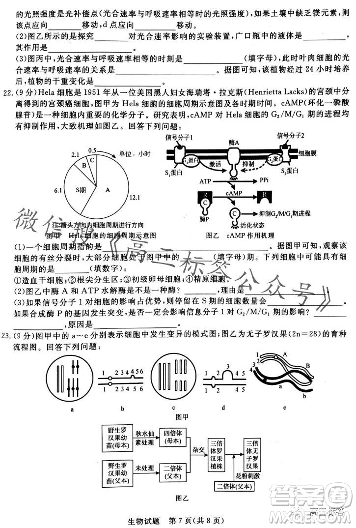 2024屆普通高等學(xué)校招生全國(guó)統(tǒng)一考試青桐鳴高三10月大聯(lián)考生物試卷答案