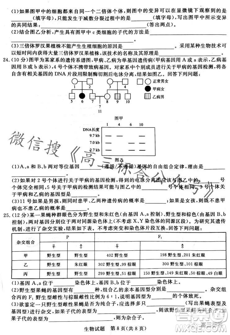 2024屆普通高等學(xué)校招生全國(guó)統(tǒng)一考試青桐鳴高三10月大聯(lián)考生物試卷答案