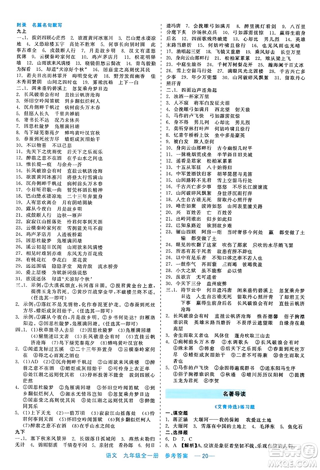 浙江工商大學出版社2023年秋精彩練習就練這一本九年級語文全一冊通用版答案